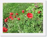 AHCE_Mens 2008_0071 * 2272 x 1704 * (2.57MB)